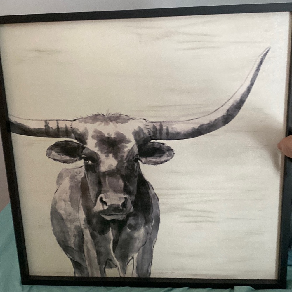 Bull painting